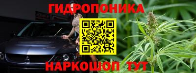 крисы Чебаркуль