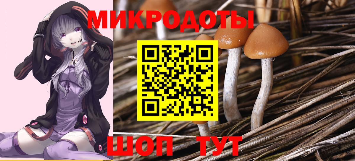 Армавир  Псилоцибиновые грибы Magic Shrooms  Вход с VPN 